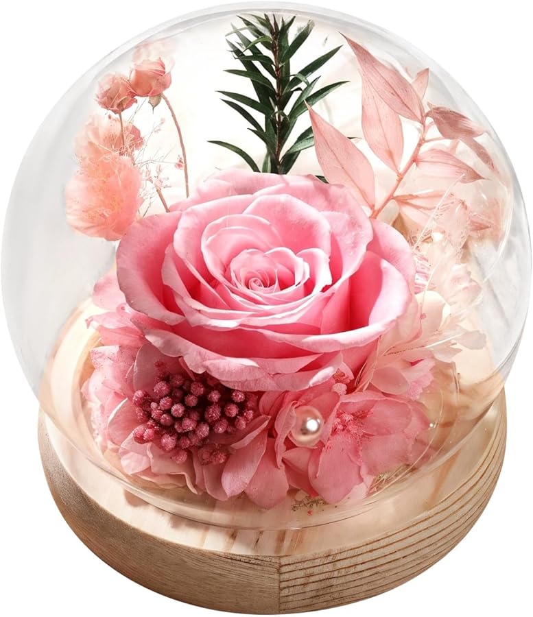 الورود الحمراء المحفوظة الأبدية في قبة زجاجية مع قاعدة خشبية لتزيين الزهور - Image 1